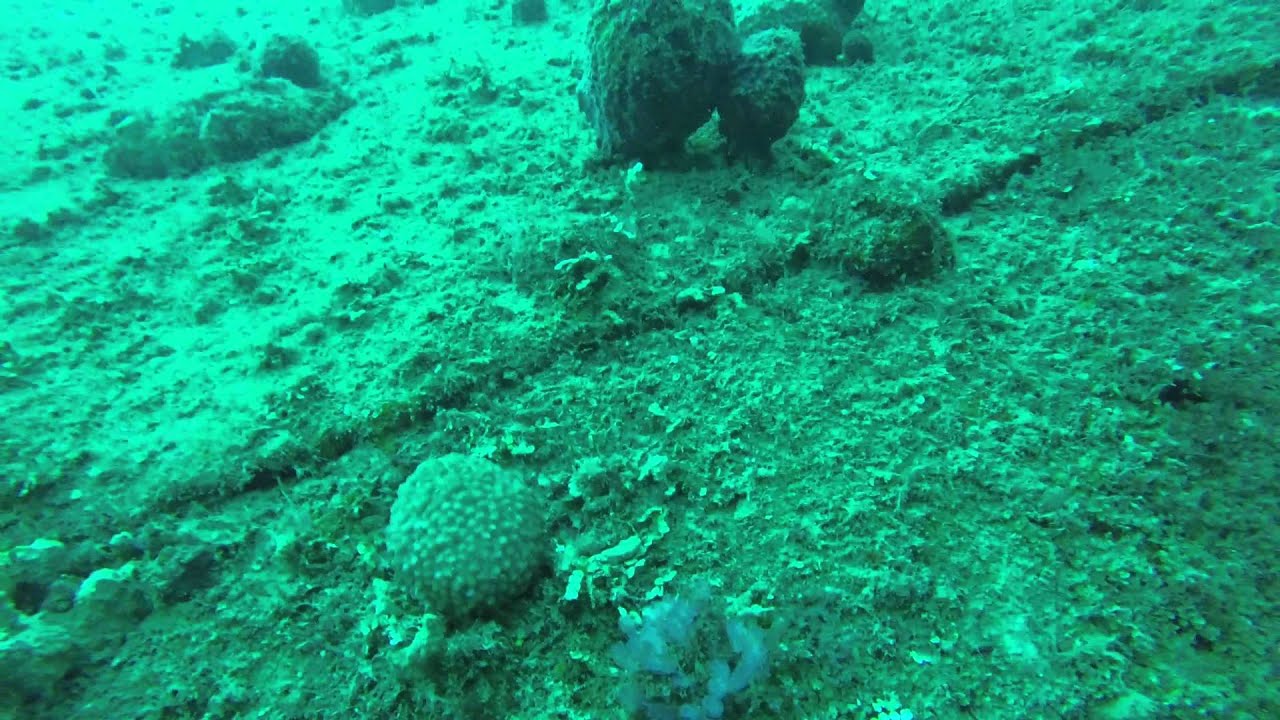 Tokai Maru and UMS Cormoran Guam pt1 YouTube