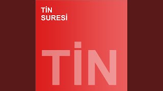 Tin Suresi