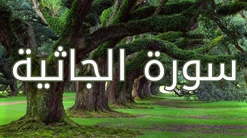 قورئانی پیرۆز (سورة الجاثية) بە تەفسیری کوردی
