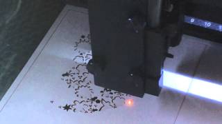 Albyco Mohr Digicut