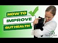 How to improve your cat and dogs gut health  holistic vet  natural pet care