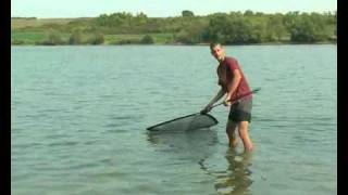 Ulovi Trofej - Jezera Fruške Gore