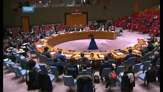 Выступления Небензи в совете безопасности ООН