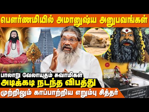 திண்டிவனத்தில் நாய் வடிவில் இருக்கும் சித்தர் ! - Palaru Swamigal | Thiruvannamalai Girivalam