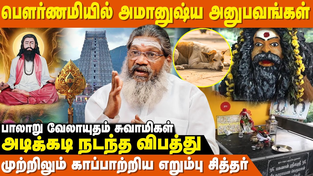 திண்டிவனத்தில் நாய் வடிவில் இருக்கும் சித்தர் ! - Palaru Swamigal | Thiruvannamalai Girivalam