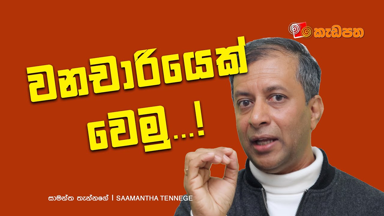 වනචාරී වීමේ කලාව | Escape the Noise: The Lost Art of Being a Wanderer