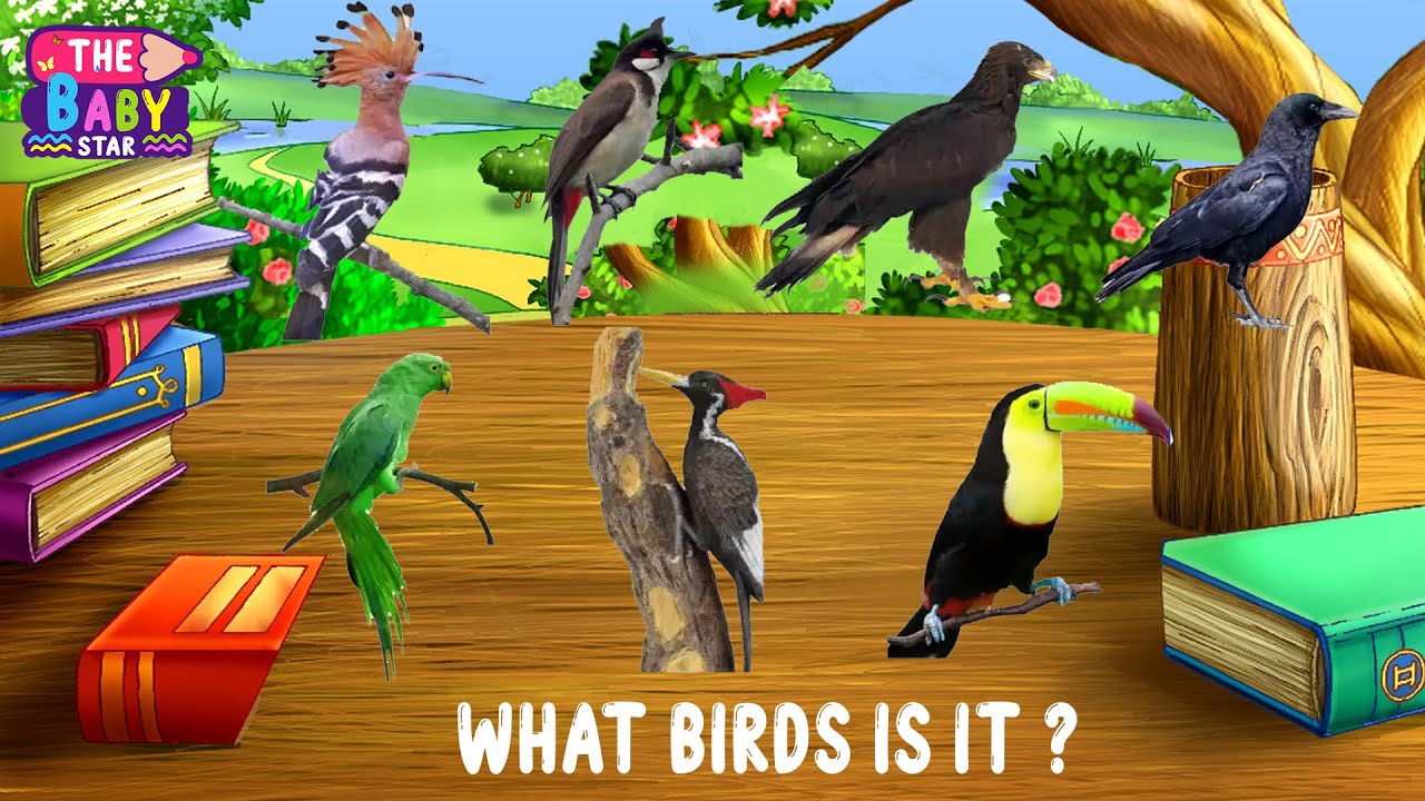 Amaze Your Kids By Teaching Them Bird Names Uncover The Fun Way amaze-your-kids-by-teaching-them-bird-names-uncover-the-fun-way