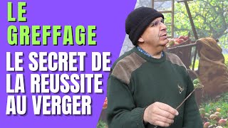 COMMENT GREFFER UN ARBRE FRUITIER ? LE SECRET DE LA REUSSITE AU VERGER