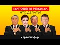 МАРОДЕРЫ РЕЖИМА, ЧТО ДЕЛАТЬ?