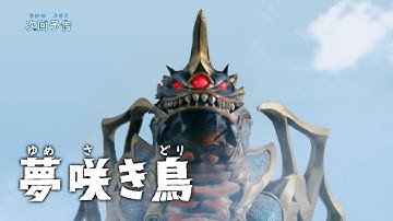 『ウルトラマンアーク』予告 第21話「夢咲き鳥」 -公式配信-