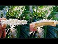 DIY Center Clip making at home / Hairclip making #centerclipmaking #hairaccessories 