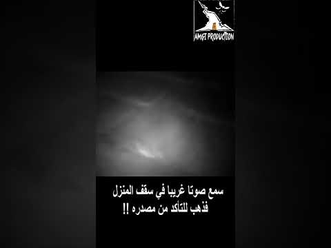 سمع صوتا غريبا في سقف المنزل فذهب للتأكد من مصدره