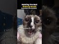 Ranking The Best Wakeup Moods #shorts #best #viral