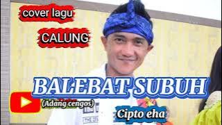 COVER LAGU CALUNG VIRAL BALEBAT SUBUH (adang cengos) voc:CIPTO EHA
