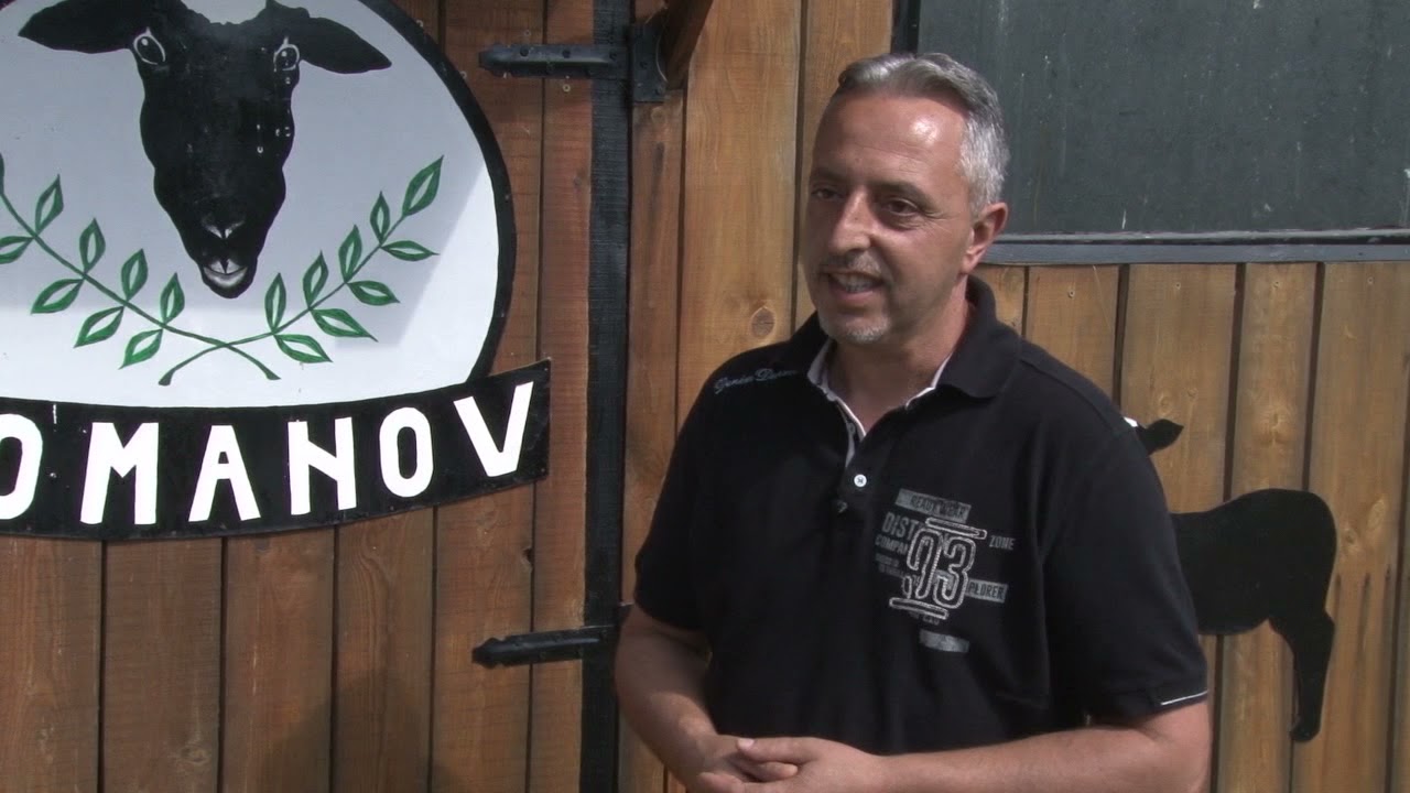 Uzgoj romanovske ovce u Kaknju