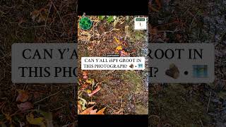 👾 PLAY @iSPYGROOT GAME 🧩 • #mothernature #naturephoto #memesvideo #ispy #groot #iamgroot #freegame
