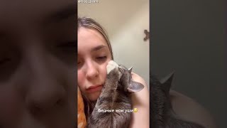 Cat Likes Earlobe || ViralHog