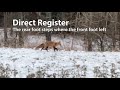 Direct register fox walking