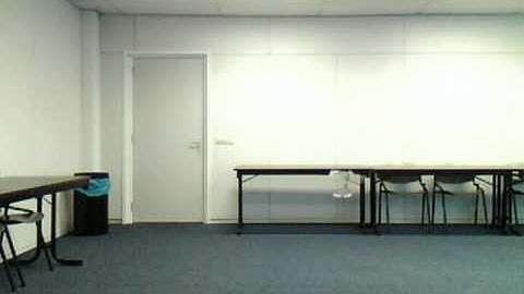 DelFly II: vision-based autonomous height control - external view from webcam