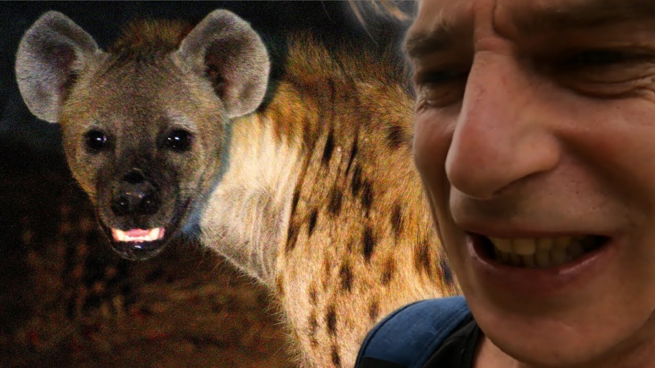 Животные-убийцы в Эфиопии 🇪🇹