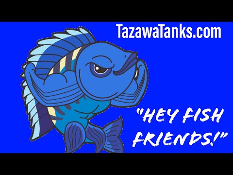 Welcome to the Tazawa Tanks Channel! - Welcome to the Tazawa Tanks Channel!