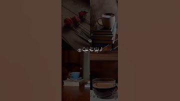 سورة النساء 💙#قرآن #حالات_دينية #حالات_واتس #حالات_واتساب #حالات #مشاري_العفاسي