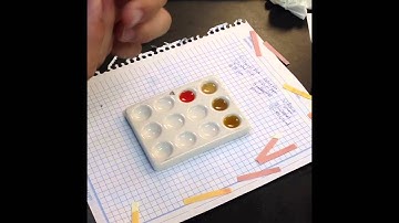 Indicators Lab Video Period 2 Chem