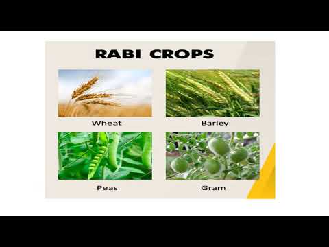 difference between kharif and rabi crops || difference between rabi and kharif crops