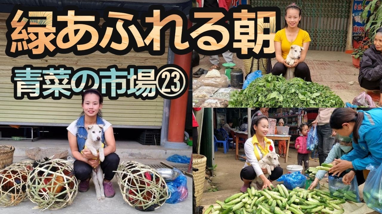 緑あふれる市場｜青菜ときゅうりの田舎暮らし【総集編㉓】