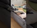 【諦めてない??ど真ん中ソファ】ずるずる滑っちゃってたソファへ #マイホーム #暮らし #リビング #ソファー #便利グッズ #すべり止め #家具配置