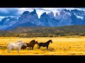 Beautiful relaxing music peaceful soothing instrumental music horses of the mt realms tim janis