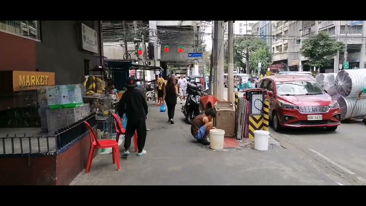 Magagandang puppy sa Alonzo Street. Sta. Cruz Manila 