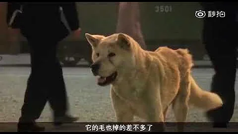 犬物語mp3 犬物語mp3