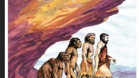 Std 5 evs part2 chapter 4 Evolution Textbook Question Answers.