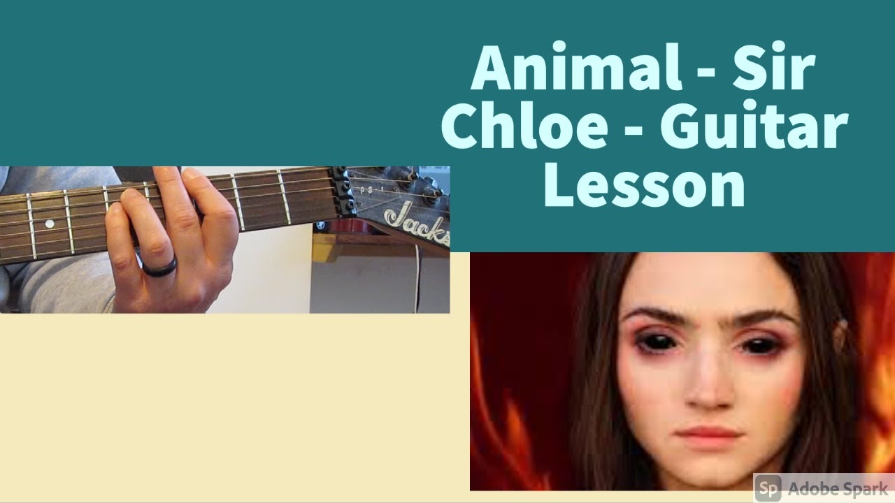 Animal chloe. Sir Chloe. Chloe Guitar. Sir Chloe исполнитель. Michelle Sir Chloe обложка.