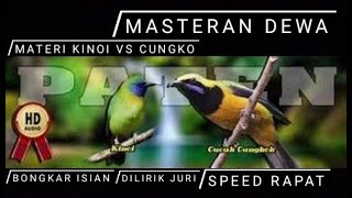 10 JAM!! MASTERAN CUCAK CUNGKO VS CUCAK KINOI - Speed Rapat Variasi Roll Tembak - MASTERAN DEWA