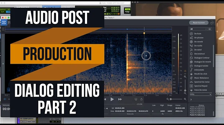 Audio Post Production for Film 101 - Dialog Editin...