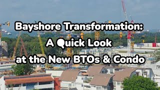 Bayshore Update: What’s Going Up (Vela Bay, Palms, & Vista) 