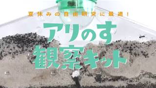 アリのす観察キット 夏休みの自由研究に最適！／学研・科学と学習PRESENTS