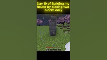 Day 19:Building my house by placing 2 blocks daily!!!! #minecraft #building #ytshorts #shorts
