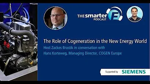 The Role of Cogeneration in the New Energy World |...