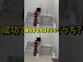 『成功する犬はどっち?』#犬 #チャレンジ #サンドバッグ