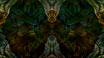 Sponge - Flownvoices