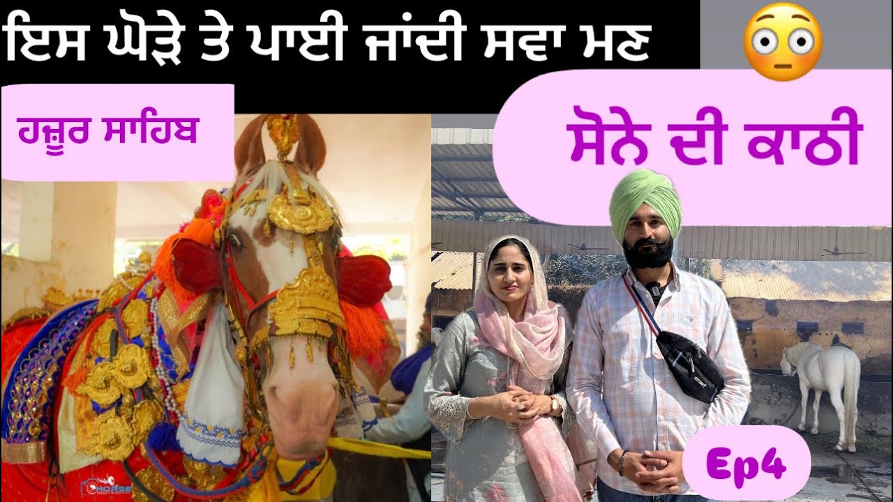 Ep:4 Guru ji di Savari Wala Ghoda | Hazur Sahib da bajar | inder khushi travel vlogs