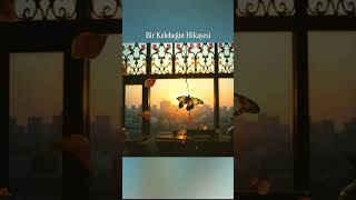 Bir Kelebeğin Hikayesi 22.04.2023 V2