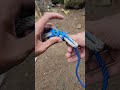 The Best Knot for Connecting Two Strings