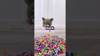 My Dentist Asked If I Knew Someone Else Was Using My Insurance Every Month