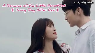 A Romance​ of​ the​ Little​ Forest​ 《两个人的小森林》Ost.​｜雨过天晴 [ Sunny​ Day​ After​ Rain]​- 虞书欣 (Ester Yu)​