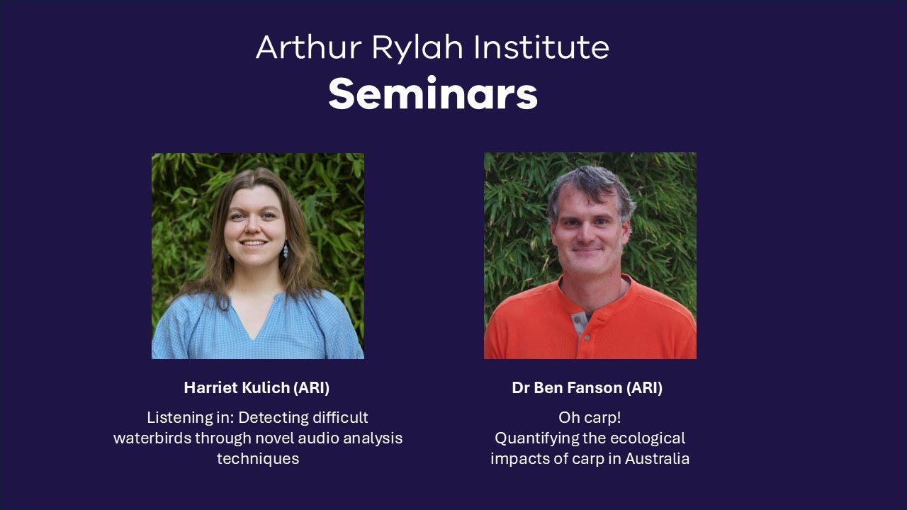 ARI Seminar | Cryptic calls and fishy intruders | Harriet Kulich & Dr Ben Fanson