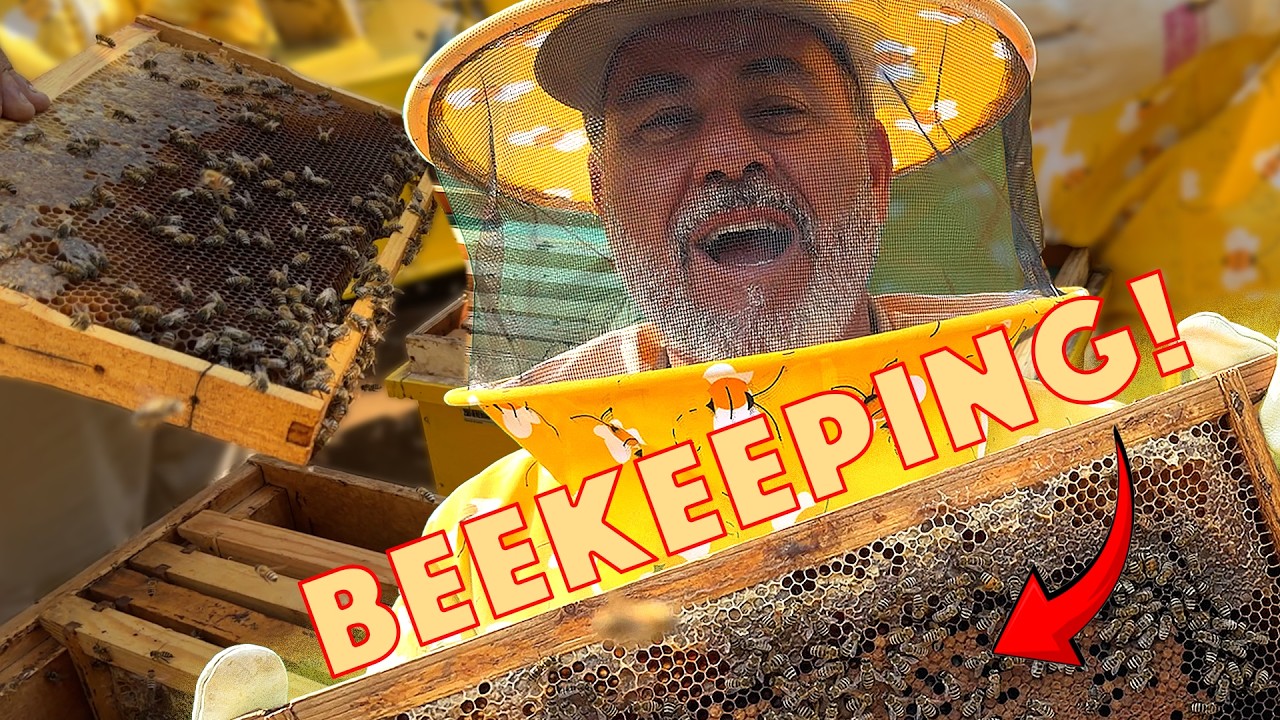 Beekeeping For a Day 🐝 Trying Not to Get Stung😅